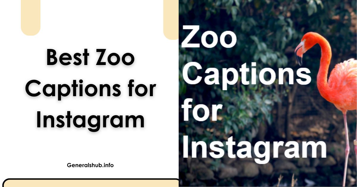 Best Zoo Captions for Instagram