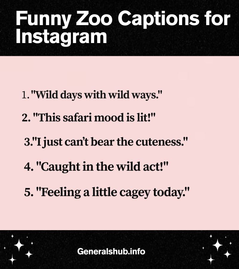 Funny Zoo Captions for Instagram